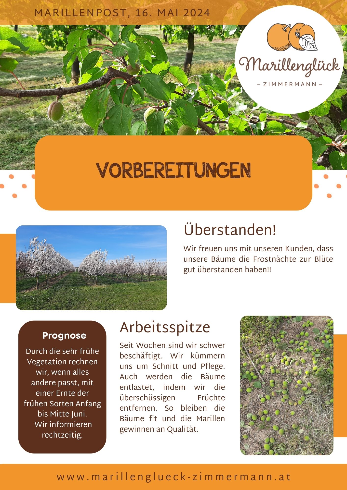 Featured image for “Marillenpost 5, Mai 2024”