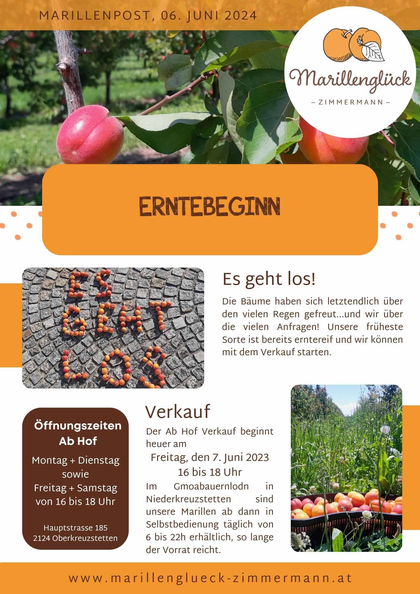 Featured image for “Marillenpost 6, Juni 2024”