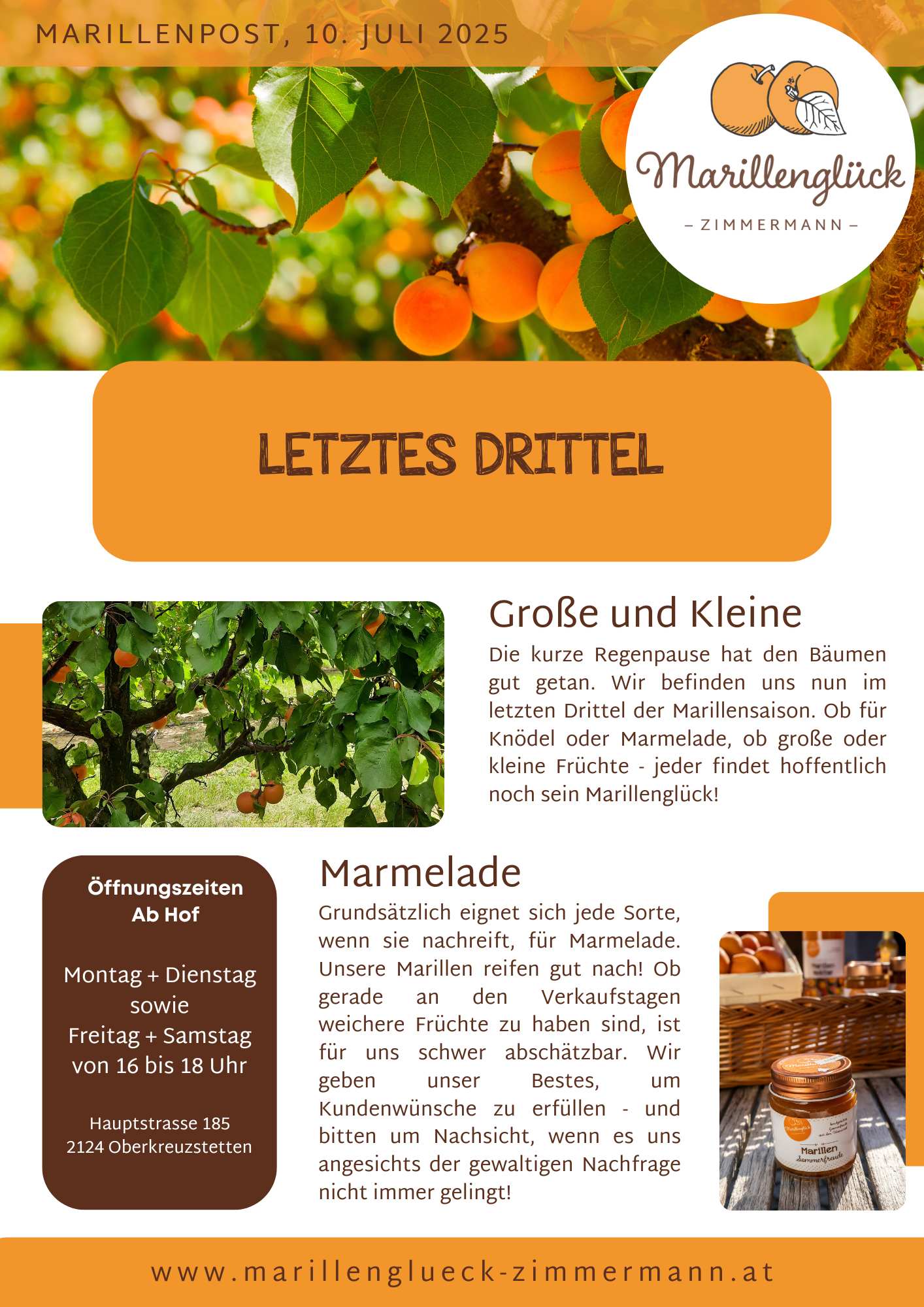 Featured image for “Marillenpost 9, Juli 2025”