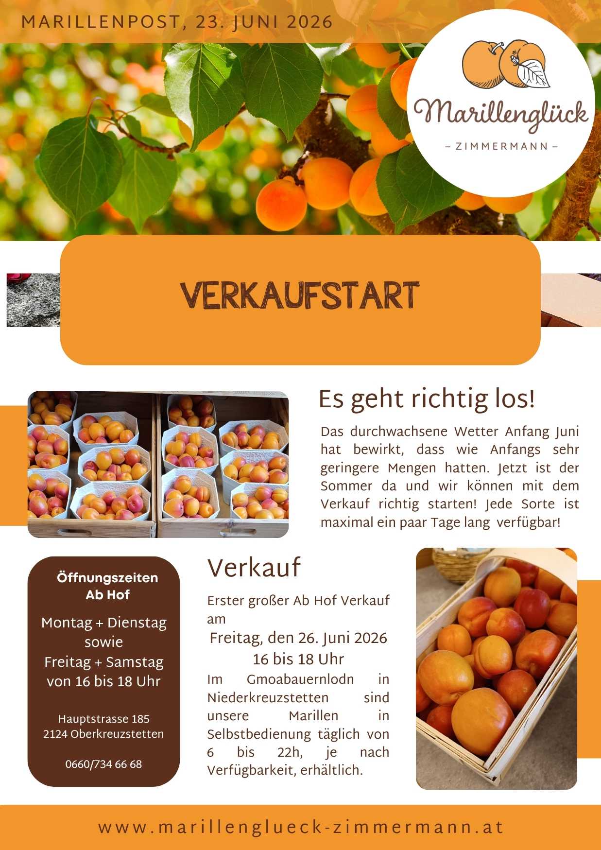 Featured image for “Marillenpost 10, Juni 2026”